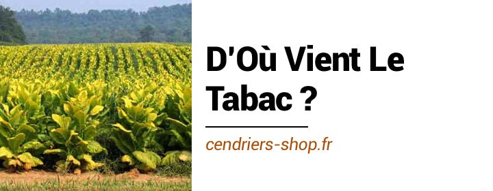 D'Où Vient Le Tabac ?